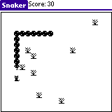 snaker-play.gif (1826 bytes)